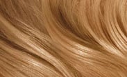 Alternative view of Add Ons Colors for Luxury Wigs (Copy)